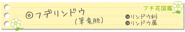 フデリンドウ