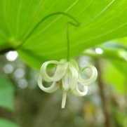 �I�I�o�^�P�V�}����