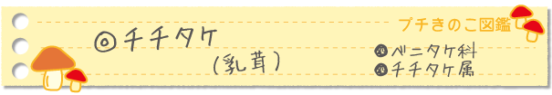 チチタケ
