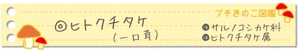 ヒトクチタケ