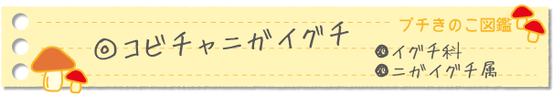 コビネチャニガイグチ