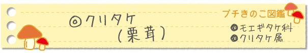 クリタケ