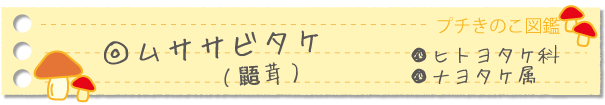 ムササビタケ