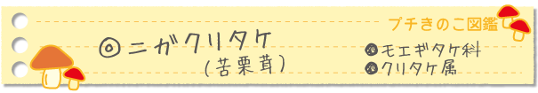ニガクリタケ