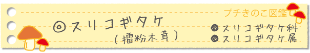 スリコギタケ