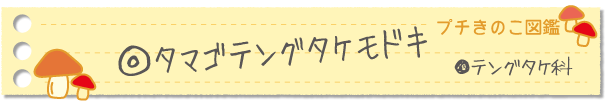 タマゴテングタケモドキ