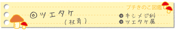ツエタケ