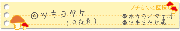 ツキヨタケ