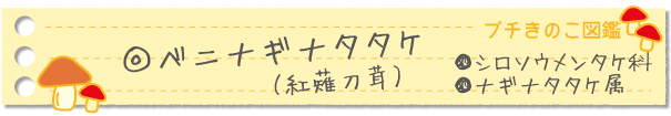 ベニナギナタタケ