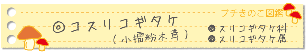コスリコギタケ