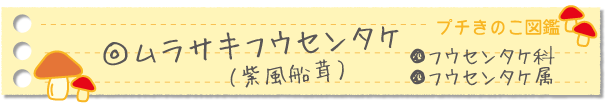 ムラサキフウセンタケ