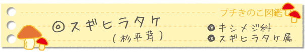 スギヒラタケ