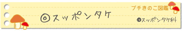 スッポンタケ