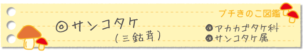 サンコタケ