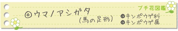 ウマノアシガタ